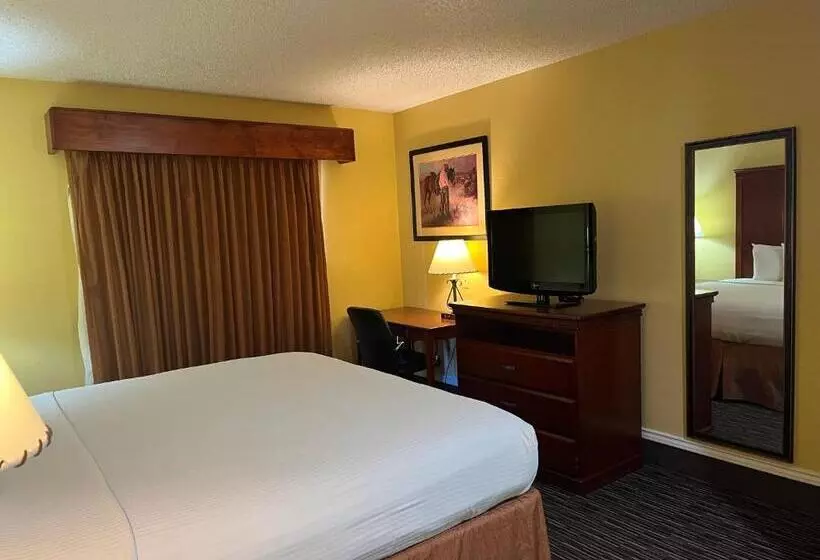 キングサイズベッドのデラックスルーム, Red Roof Inn & Suites Sulphur Springs