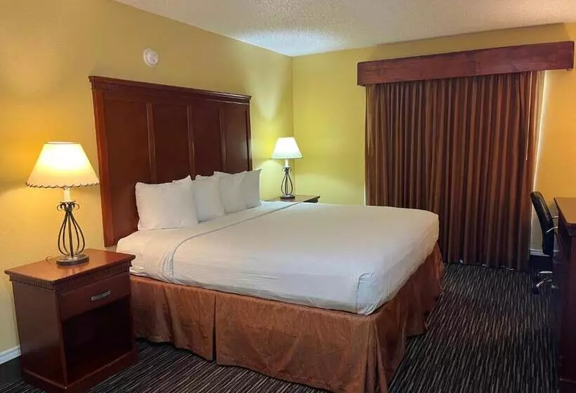 キングサイズベッドのデラックスルーム, Red Roof Inn & Suites Sulphur Springs