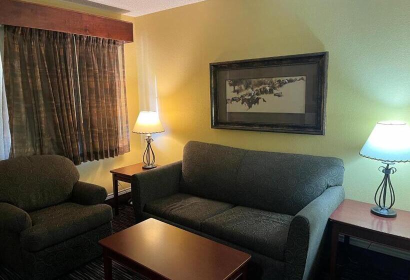 Люкс Кровать Кинг, Red Roof Inn & Suites Sulphur Springs