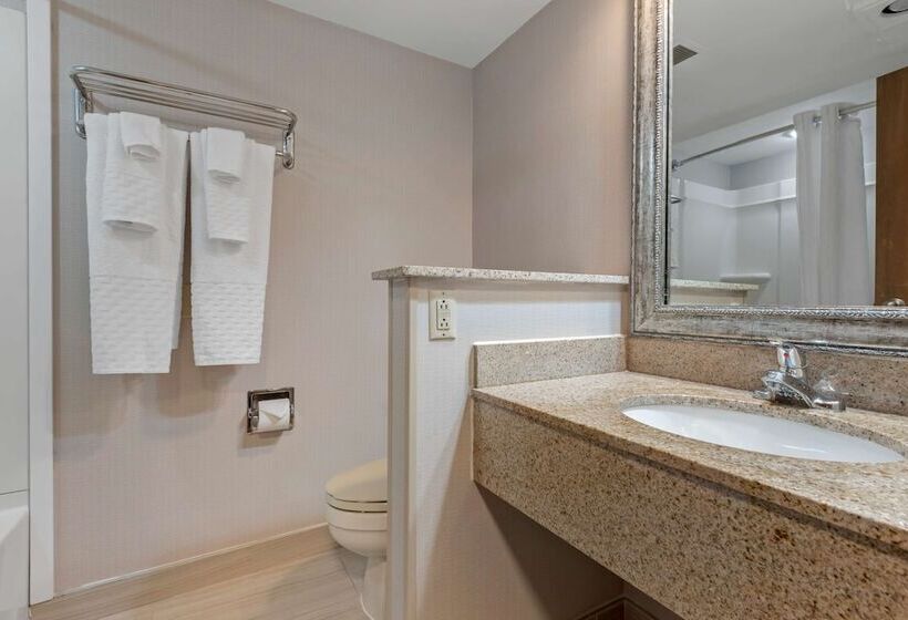 غرفه قياسيه سريرين مزدوجين, Best Western University Inn