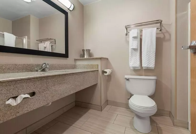 اتاق استاندارد با 2 تخت دوبل, Best Western University Inn