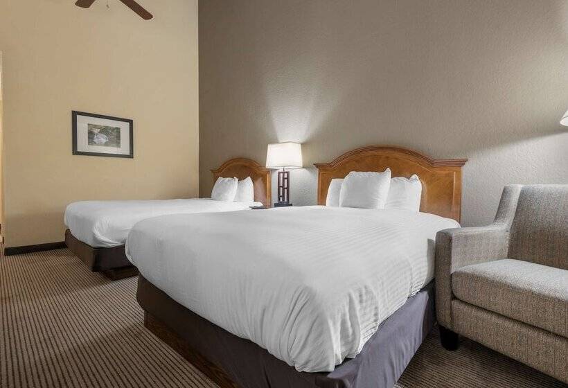 غرفه قياسيه سريرين مزدوجين, Best Western University Inn