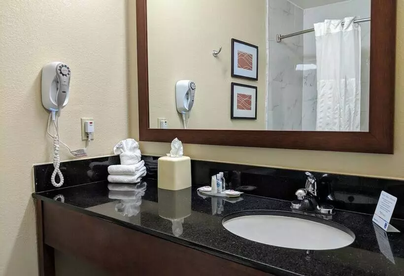 Sviitti Liikuntarajoitteisille, Wyndham Garden Newark Fremont Silicon Valley
