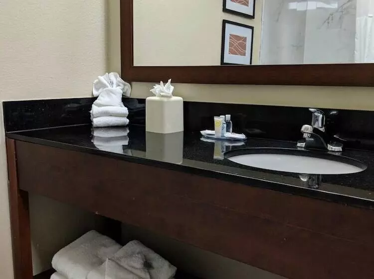 Sviitti Liikuntarajoitteisille, Wyndham Garden Newark Fremont Silicon Valley