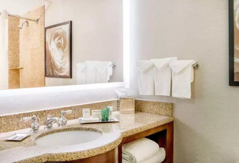 キングサイズベッドのデラックスルーム, Hilton Wilmington/christiana