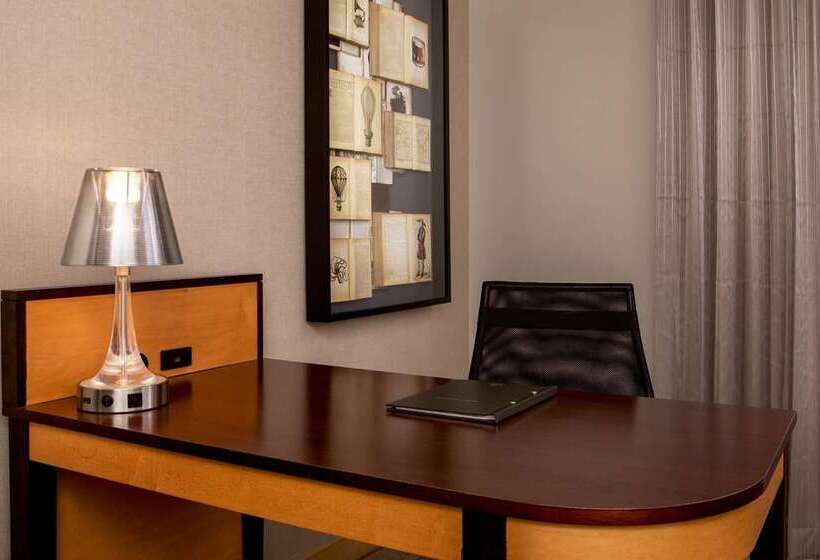 اتاق لوکس با تخت بزرگ, Hilton Wilmington/christiana
