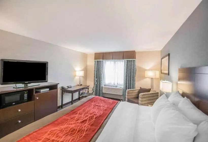 キングサイズベッドのスタンダードルーム, Quality Inn