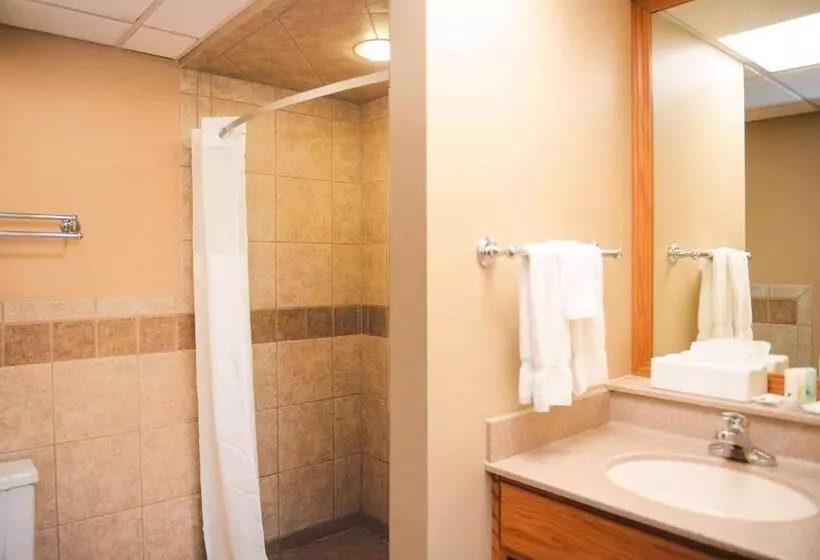 キングサイズベッドのスタンダードルーム, Quality Inn & Suites Ames Conference Center Near Isu Campus