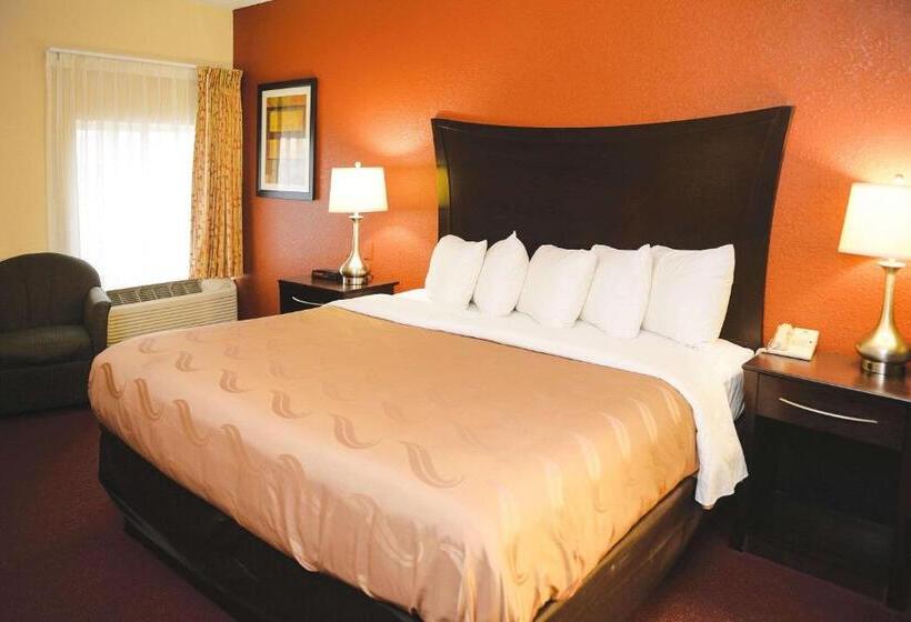 Номер Стандарт Кровать Кинг Адаптированный для Инвалидов, Quality Inn & Suites Ames Conference Center Near Isu Campus