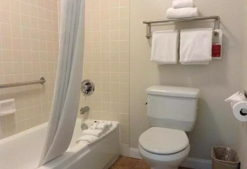استودیو استاندارد با تخت کینگ, Ramada By Wyndham Oceanside