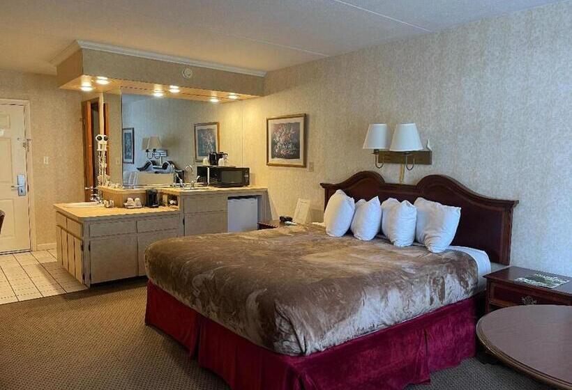 스탠다드 룸 킹사이즈 침대, Zoders Inn And Suites