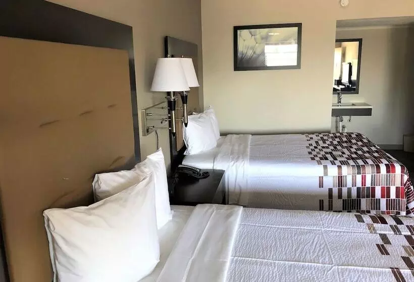 デラックスルーム, Red Roof Inn Greenville, Nc