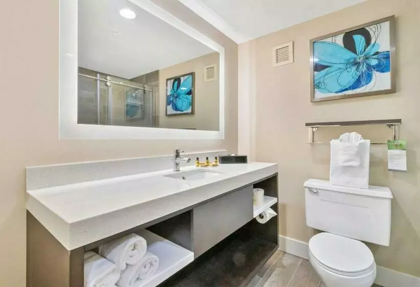 اتاق استاندارد, Best Western Plus Greenville I385 Inn & Suites