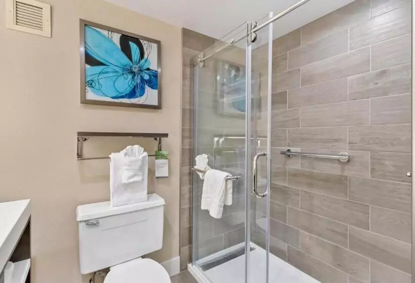 اتاق استاندارد با تخت بزرگ, Best Western Plus Greenville I385 Inn & Suites