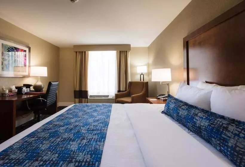 اتاق استاندارد با تخت بزرگ, Best Western Plus Greenville I385 Inn & Suites