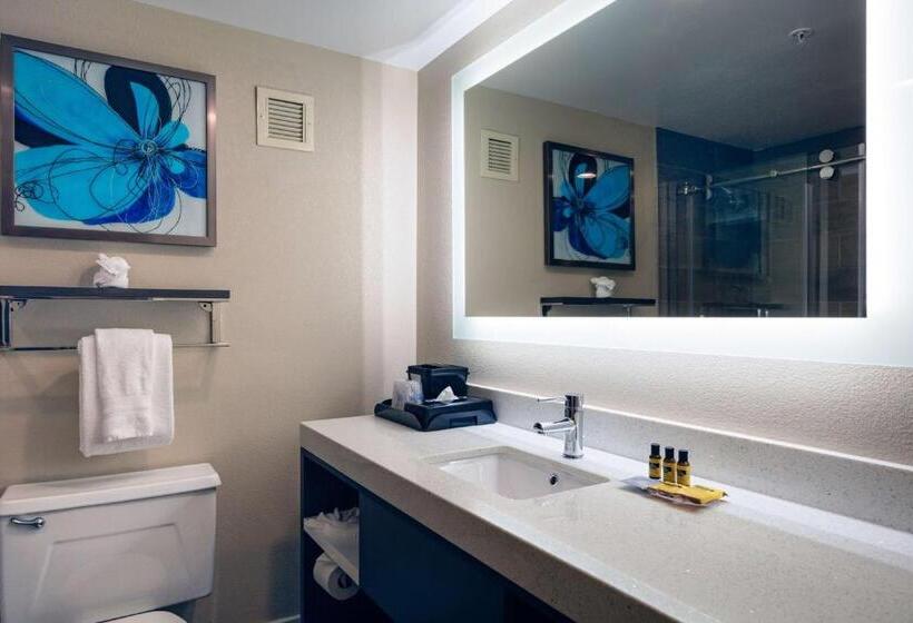 Quarto Estandar Cama King, Best Western Plus Greenville I385 Inn & Suites