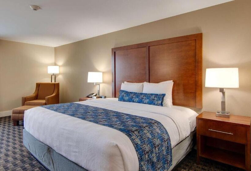 Quarto Estandar Cama King, Best Western Plus Greenville I385 Inn & Suites