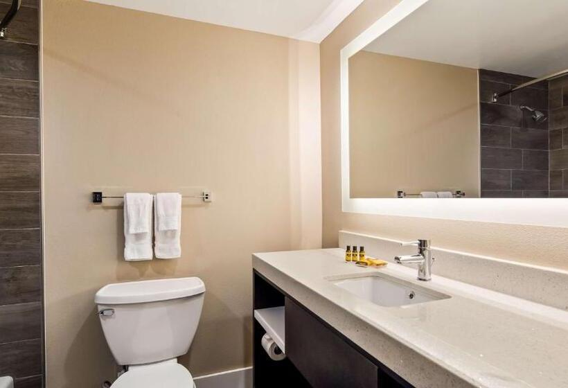 キングサイズベッドのスイートルーム, Best Western Plus Greenville I385 Inn & Suites