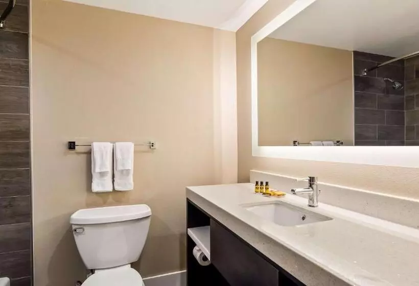 سوئیت با تخت بزرگ, Best Western Plus Greenville I385 Inn & Suites