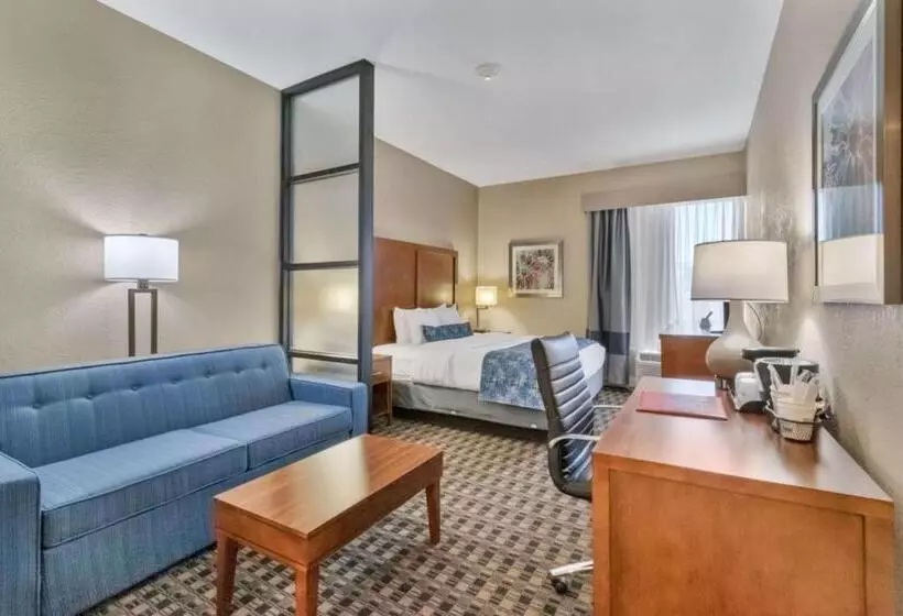 سوئیت با تخت بزرگ, Best Western Plus Greenville I385 Inn & Suites
