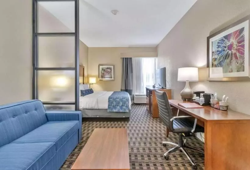 سوئیت با تخت بزرگ, Best Western Plus Greenville I385 Inn & Suites