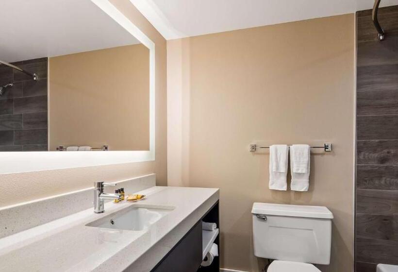 Suíte Cama King, Best Western Plus Greenville I385 Inn & Suites