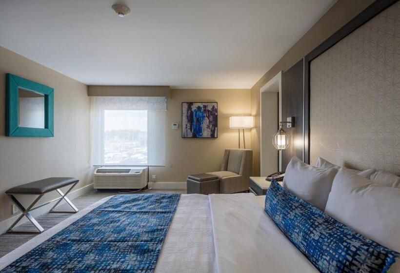 스위트 킹사이즈 침대, Best Western Plus Greenville I385 Inn & Suites