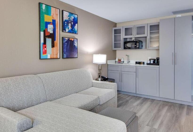 スイート, Best Western Plus Greenville I385 Inn & Suites