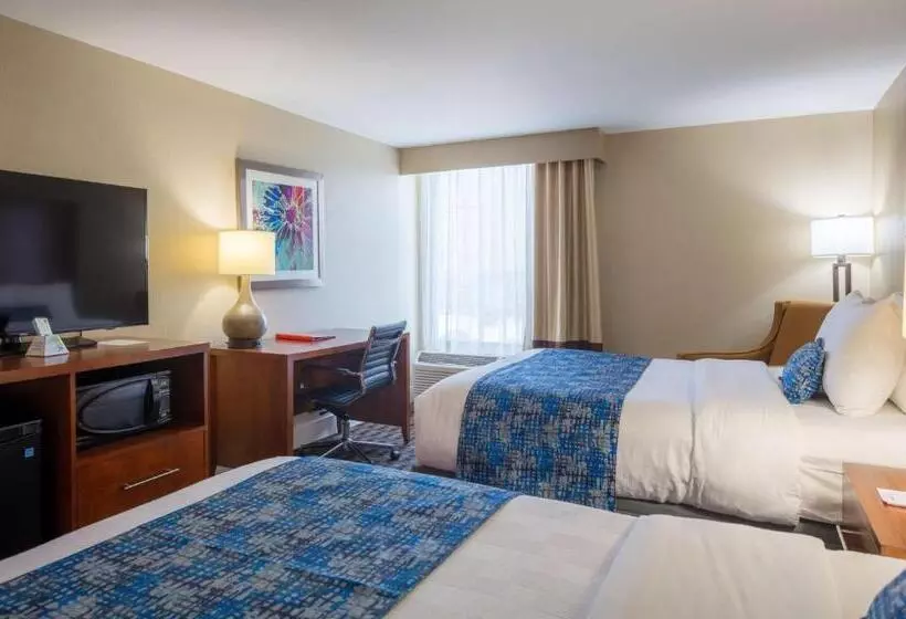 اتاق استاندارد برای معلولان, Best Western Plus Greenville I385 Inn & Suites