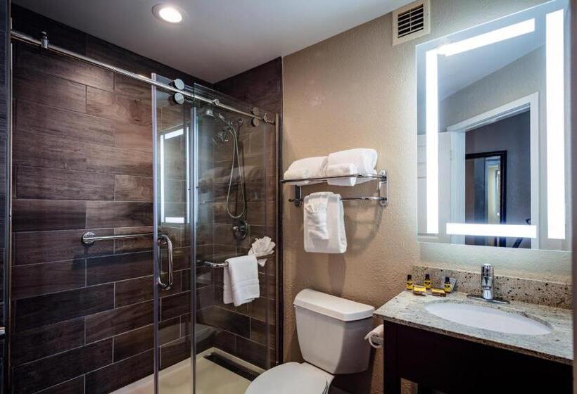 身障者適用キングサイズベッドルーム, Best Western Plus Greenville I385 Inn & Suites