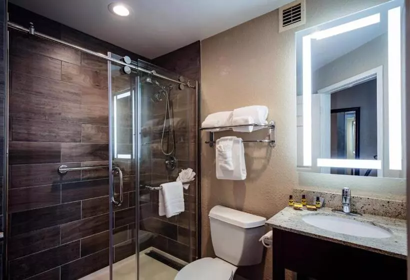 اتاق استاندارد با تخت بزرگ برای معلولان, Best Western Plus Greenville I385 Inn & Suites