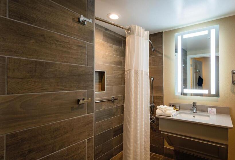 장애인을 위한 킹사이즈 침대 스탠다드 룸, Best Western Plus Greenville I385 Inn & Suites