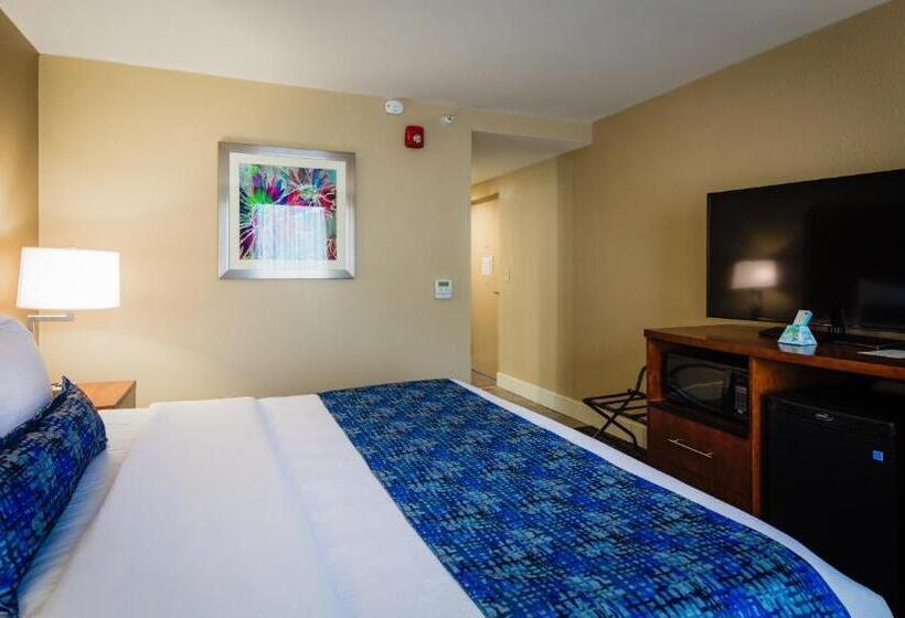 身障者適用キングサイズベッドルーム, Best Western Plus Greenville I385 Inn & Suites