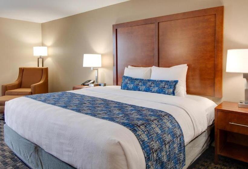 身障者適用キングサイズベッドルーム, Best Western Plus Greenville I385 Inn & Suites