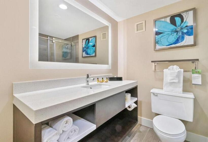 장애인을 위한 킹사이즈 침대 스탠다드 룸, Best Western Plus Greenville I385 Inn & Suites