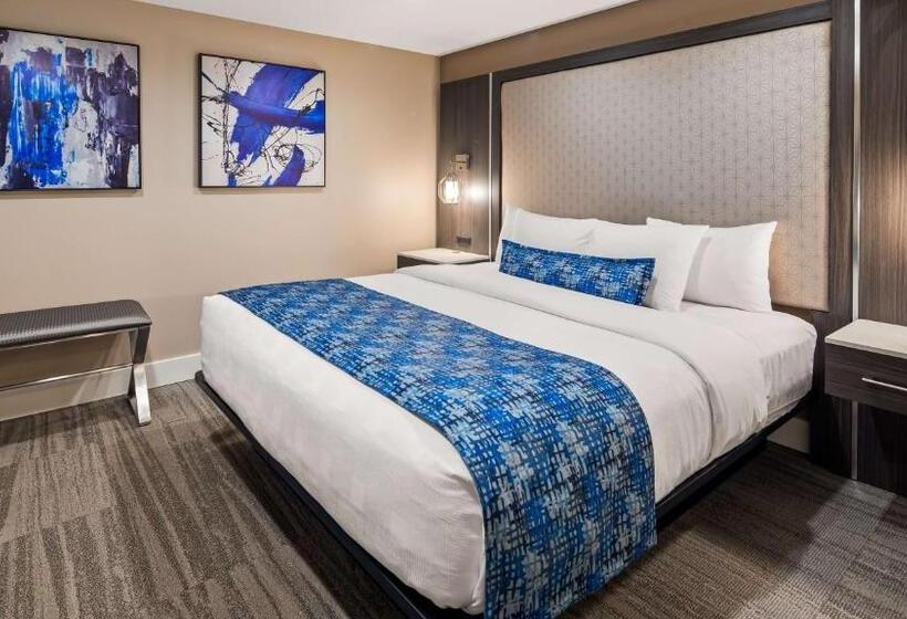 스위트 킹사이즈 침대, Best Western Plus Greenville I385 Inn & Suites