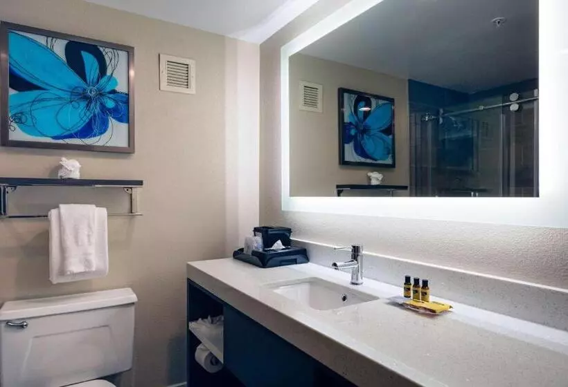 سوییت, Best Western Plus Greenville I385 Inn & Suites