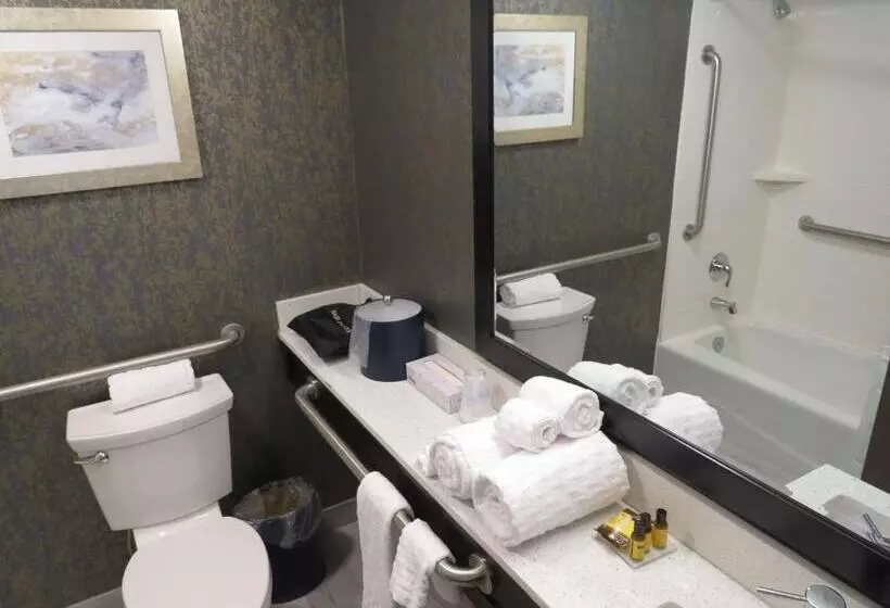 اتاق استاندارد با تخت بزرگ برای معلولان, Best Western Plus Landmark Inn