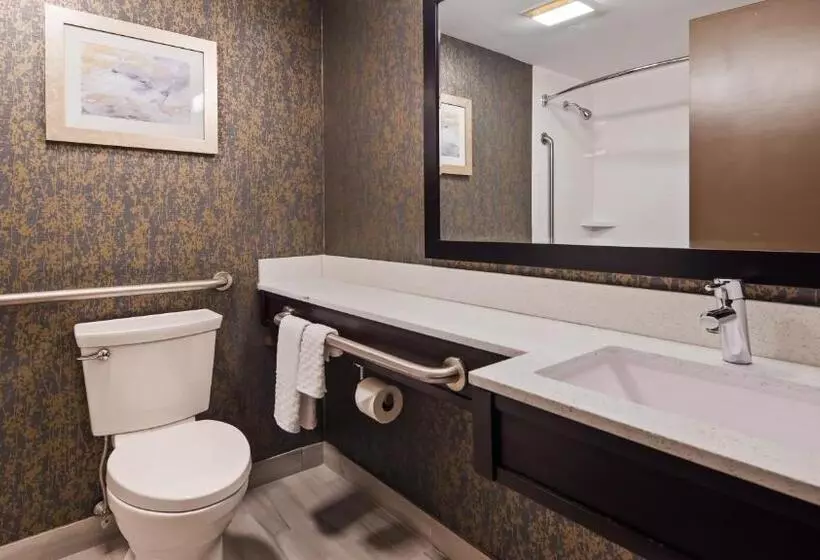 اتاق استاندارد با تخت بزرگ برای معلولان, Best Western Plus Landmark Inn