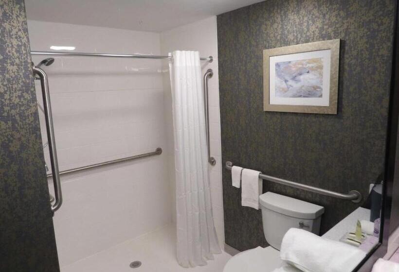 장애인을 위한 킹사이즈 침대 스탠다드 룸, Best Western Plus Landmark Inn