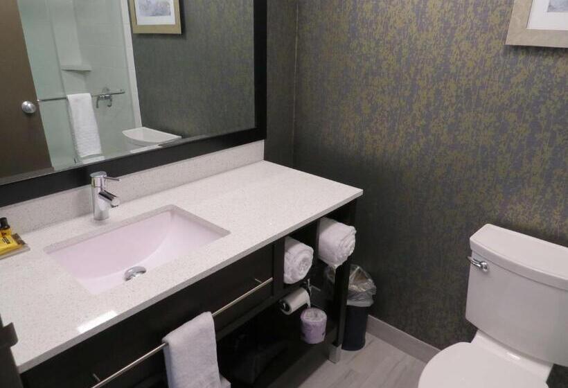 스탠다드 룸 킹사이즈 침대, Best Western Plus Landmark Inn