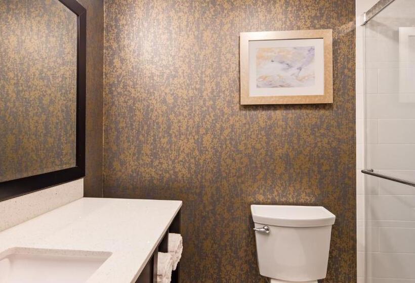 스탠다드 룸 킹사이즈 침대, Best Western Plus Landmark Inn