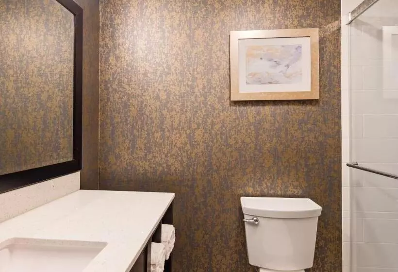 اتاق استاندارد با تخت بزرگ, Best Western Plus Landmark Inn