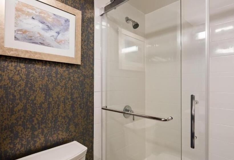 스탠다드 룸 킹사이즈 침대, Best Western Plus Landmark Inn