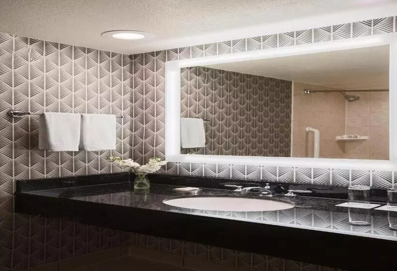 اتاق استاندارد با تخت بزرگ, Casa De Palmas, Trademark Collection By Wyndham