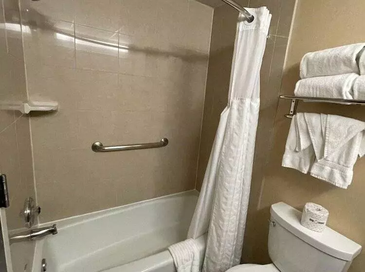 اتاق استاندارد با 2 تخت دوبل, Comfort Inn Ballston