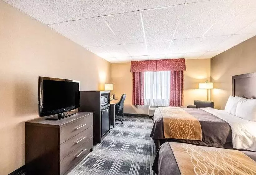 اتاق استاندارد با 2 تخت دوبل, Comfort Inn Ballston