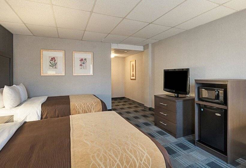 스탠다드 룸 더블 침대 2개, Comfort Inn Ballston