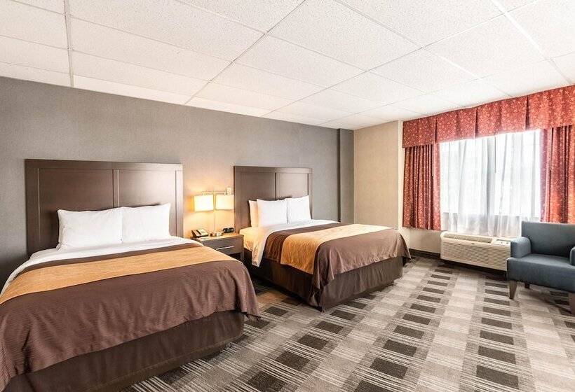 스탠다드 룸 더블 침대 2개, Comfort Inn Ballston