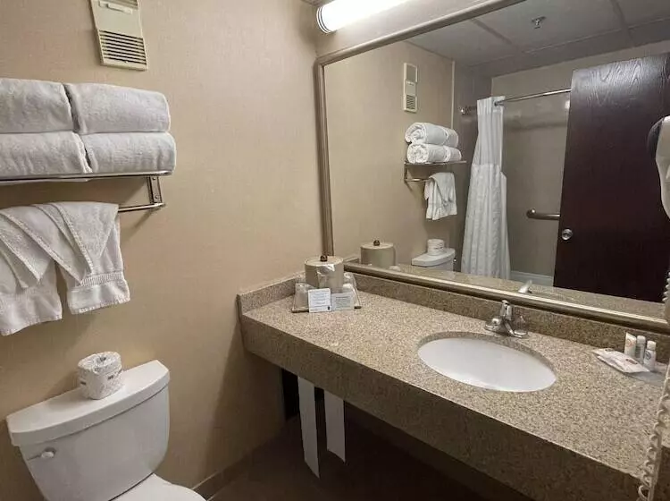 سوییت, Comfort Inn Ballston